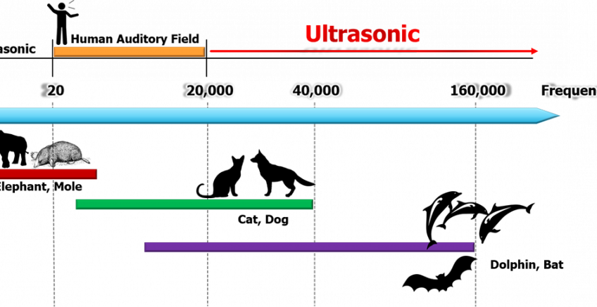 คลื่นอัลตร้าโซนิกส์ (ULTRASONIC WAVE)
