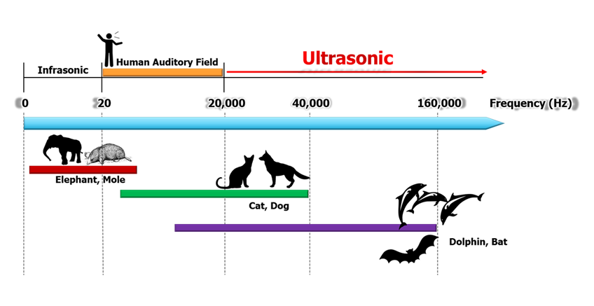 คลื่นอัลตร้าโซนิกส์ (ULTRASONIC WAVE)